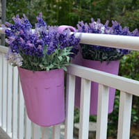garden flower pot SG1523